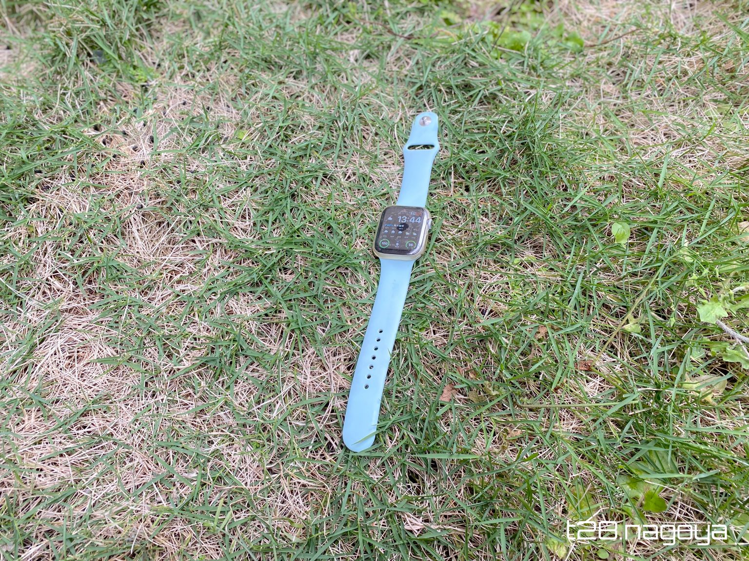 芝生に時計