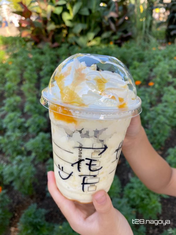 イモフラペチの記入