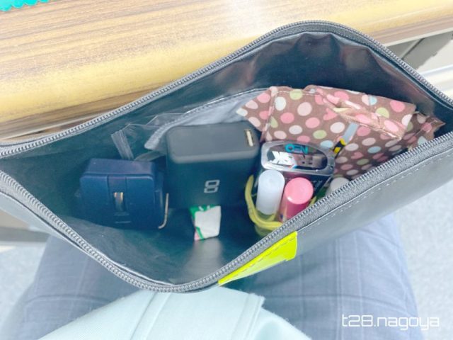 ポーチの中にマウス
